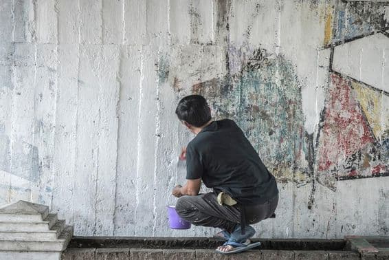 सफेद दीवार की पेंटिंग, तितली।