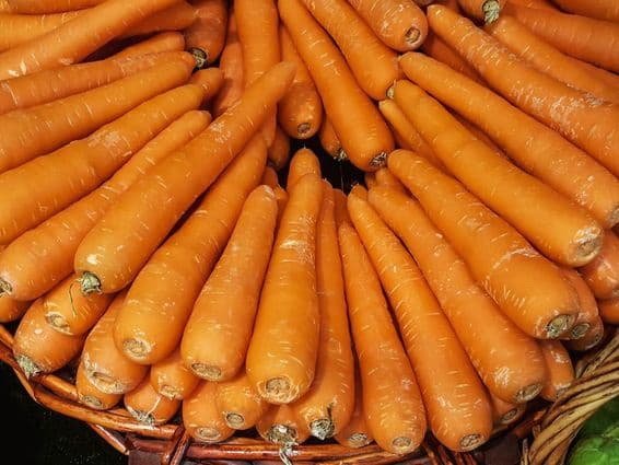 गाजर