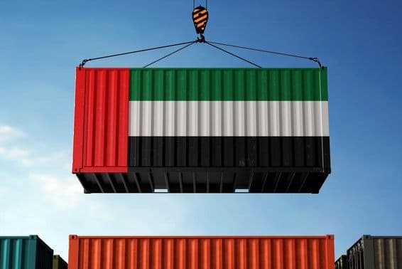 UAE झंडे के रंगों में रंगे कंटेनर को उठाती हुई एक क्रेन।