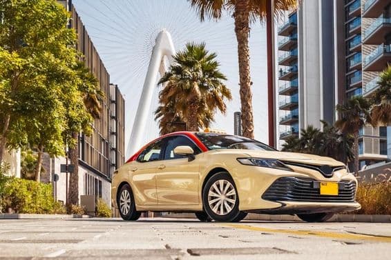 दुबई टैक्सी, बैकग्राउंड में पाम के पेड़