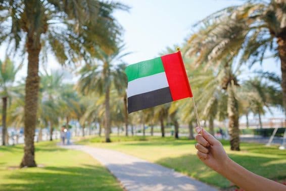अबू धाबी के एक पार्क में एक महिला का हाथ UAE का मिनिएचर झंडा पकड़े हुए।