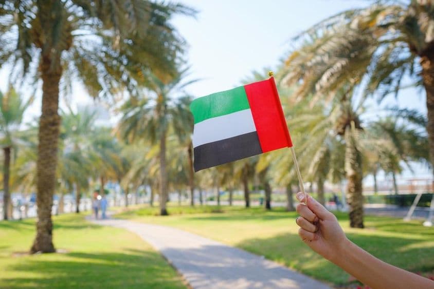 अबू धाबी के एक पार्क में एक महिला का हाथ UAE का मिनिएचर झंडा पकड़े हुए।