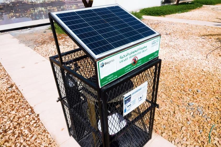 अबू धाबी, मच्छर मारने वाला सड़क औद्योगिक उपकरण।