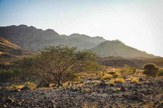रास अल खैमाह में वादी शोका का खड़ी भूभाग जिसमें चट्टानी पथ हैं।