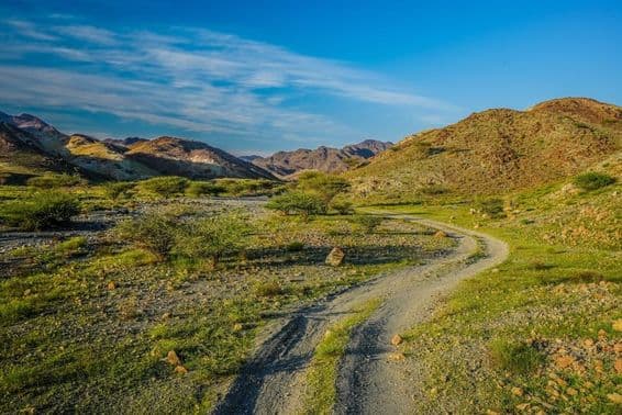 संयुक्त अरब अमीरात में हरे पर्वत।