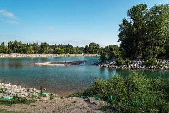 कैलगरी, अल्बर्टा, कनाडा में बाउ नदी के किनारे।