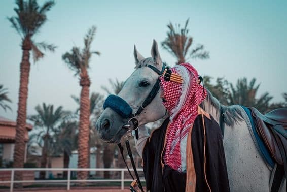 पृष्ठभूमि में ताड़ के पेड़ों के साथ एक घोड़ा।