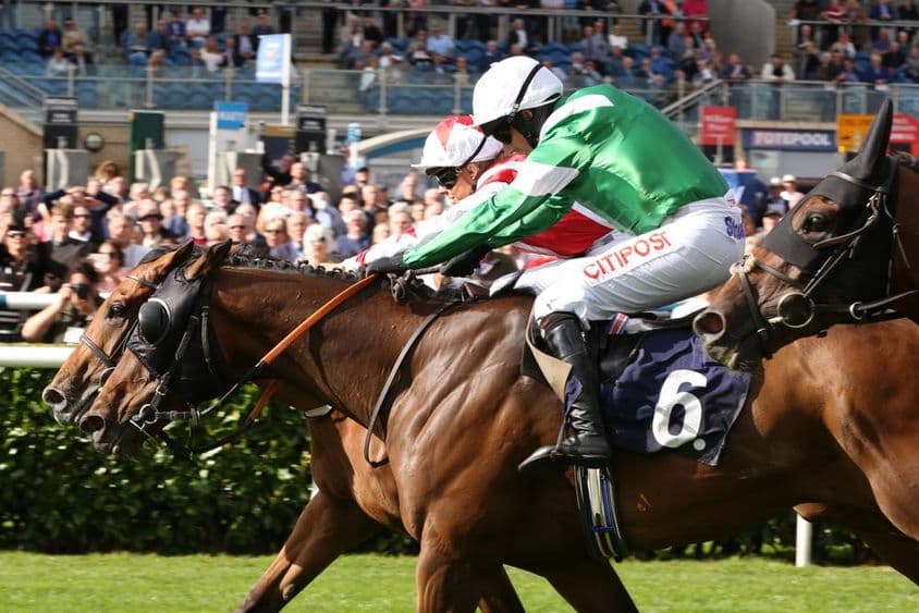 महान हार्स रेस, नाक से जीतते हुए।