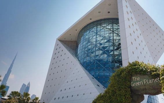 दुबई में हरे ग्रह पर एक अनोखा पारिस्थितिकी तंत्र।