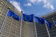 हवा में लहराते हुए यूरोपीय संघ के झंडे।