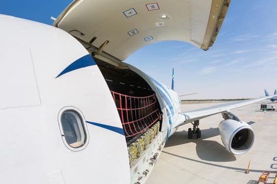 दुबई में फ्रेट लोडिंग के लिए तैयार कार्गो विमान