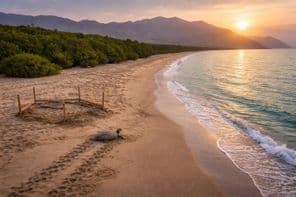 कलबा बीच का संरक्षित खजाना